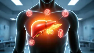 Related Stories banner