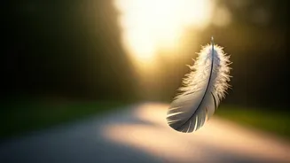 10 Things to Let Go Of For a Happier, More Peaceful Life