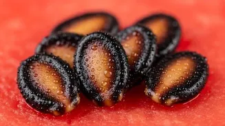 5 beauty benefits of watermelon seed powder