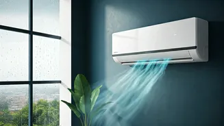 Dry Mode Is Built For Rainy Weather