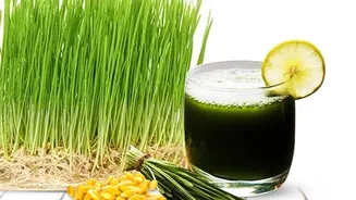 Add wheatgrass to your routine for a healthier lifestyle