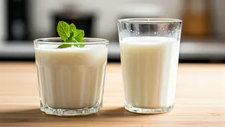 Curd Drinks Bring Gut Comfort And Hydration