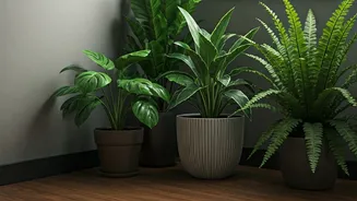Rain-Ready Plants Make Green Corners Effortless