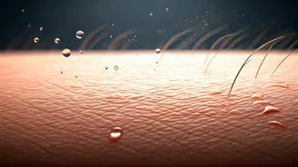 Rainy Weather Can Damage Your Skin Barrier
