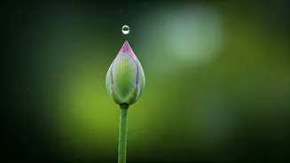 Isha Ambani's 'Do Nothing' Skincare: Unpacking the Secret to Her Radiant Complexion