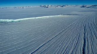 US's Greenland Ambitions: A Quick Timeline?