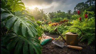 Rainy-Season Gardening Needs A Different Routine From Summer Plant Care