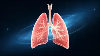 Boosting Immunity: Circadian Rhythm for Pneumonia Defense
