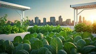 Why Urban Farming Careers Offer Perfect Blend Of Nature
