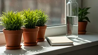 Transform Your Well-being: Simple Daily Habits for a Healthier You