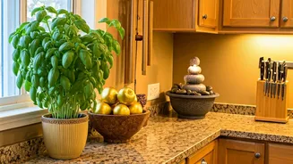 Boost Your Kitchen: Feng Shui for Abundance in 2026