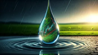 Food Prices, Water Supply, Budgets: Watch Rainfall