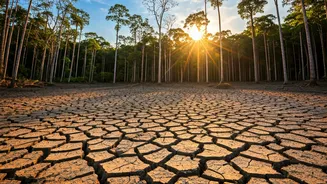 Deforestation's Dramatic Heat: Impacting Tropical Climates