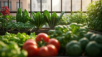 India Embraces Balcony Farming Culture