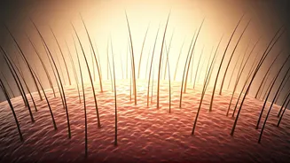 Healthy Hair Begins With A Healthy Scalp