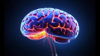 These data centers are powered by human brain cells!