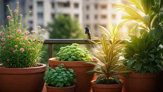How To Attract Urban Birds Using Simple Native Greenery