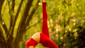 How Yoga Boosts Flexibility Simple Daily Asanas Every Beginner Can Master Today