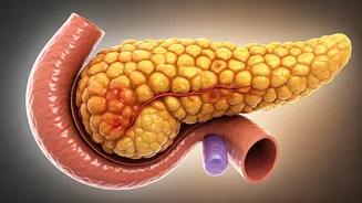 5 Hidden Triggers of Insulin Resistance Explained