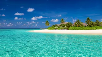 Manushi Chhillar's Maldives Escape: Sultry Swimwear & Chic Island Style