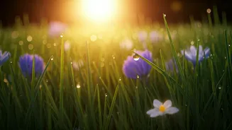 Energize Your Spring: Natural Ways to Combat Fatigue and Feel Your Best