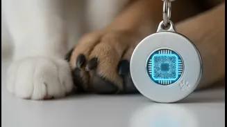 Can Pet Registration Beyond Dogs improve digital identification for cats and dogs without registration-without-services?