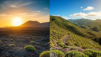 Gran Canaria vs. Lanzarote: Your Ultimate Canary Islands Adventure Guide
