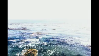 El Nino Intensifies: Pacific Ocean Temperatures Hit Record High