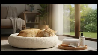 Clean Paws, Dry Bedding And Airflow Keep Monsoon Pet Homes Comfortable