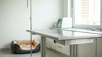 Unveiling Animal Welfare Careers: A Guide for India