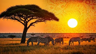 Africa Is The International Escape India Underexplores