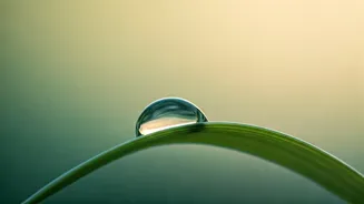 Sara Tendulkar's Minimalist Skincare Secret: Glowing Skin Without the 10-Step Hassle