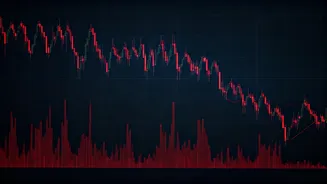 Stock Market Woes: Why is the Sensex Crashing?