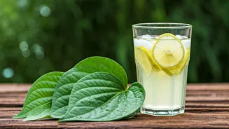 Infuse Traditional Lemonade With Raw Betel Leaves For Perfect Digestion