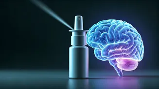 Revolutionary Nasal Spray Reverses Brain Inflammation and Boosts Memory