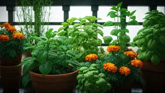 Small-Space Gardening Starts This Monsoon