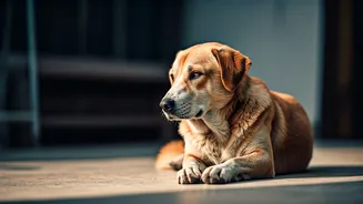 Related Stories banner