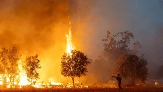 Europe Burns Again: Deadly Wildfires Trigger Fresh Evacuations Across Greece, France and Spain