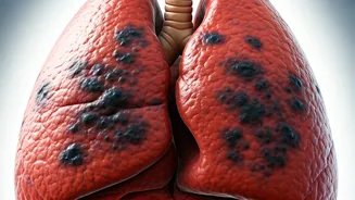 Eat These Foods to Keep Your Lungs Healthy