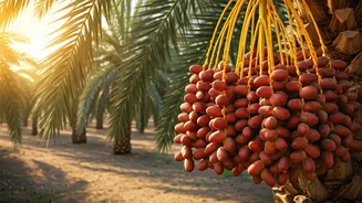 Related Stories banner