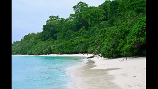 Eco-Friendly Travel Tips for Visiting the Andaman Islands