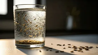Cumin and Fennel Seed Water Cures Heavy Summer Bloating Fast