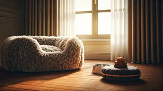 In-House Pet Perks Are Winning Hotel Bookings