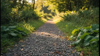 The 10-Minute Walk Works Because It Lowers The Barrier To Starting