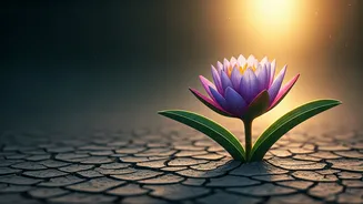 Chhavi Mittal's Wisdom: Cultivating Positivity to Conquer Cancer and Empower Women