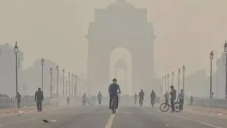 Not Farm Fires, Vehicular Emission Biggest Contributor To Delhi/NCR Pollution: CAQM Report