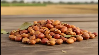 Ancient Pulse Horse Gram Is Winning Over A New Generation
