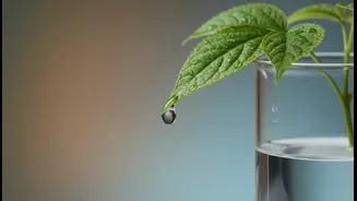 Functional Beverages Need Evidence, Not Just A Trendy Ingredient List