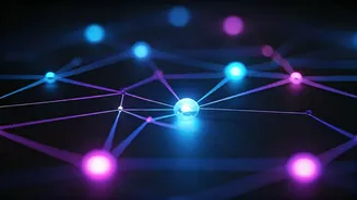 The Link Revelation: How Web Connections Sparked Google Search's Innovation