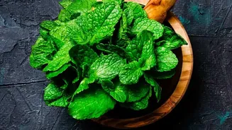 Turn leftover coriander and mint stems into versatile zero waste cooking oils